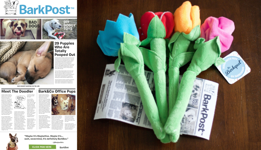 Left: The mockup of our newspaper. Right: Final product photographed by A Domestic Life