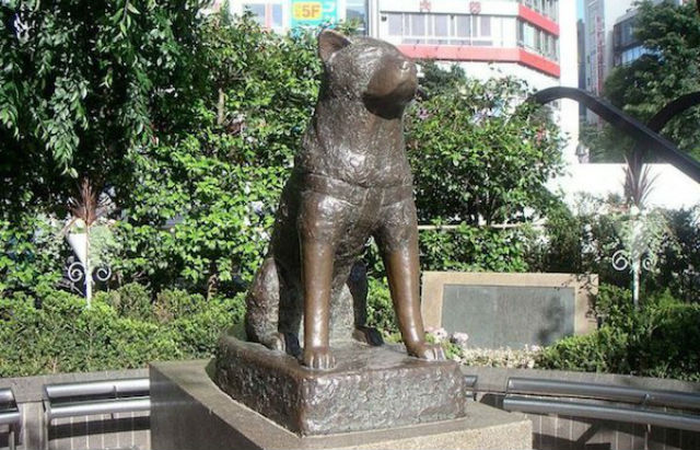 hachi statue