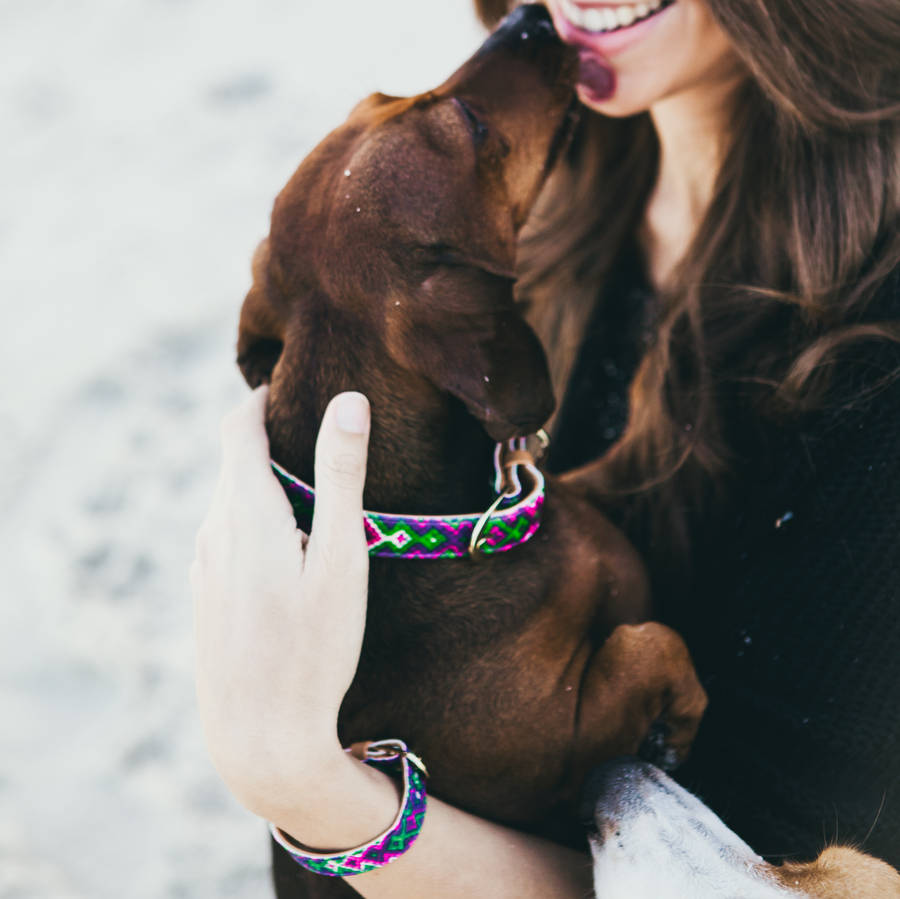 FRIENDSHIPCOLLAR Puppy Love Leather Dog Collar with Friendship