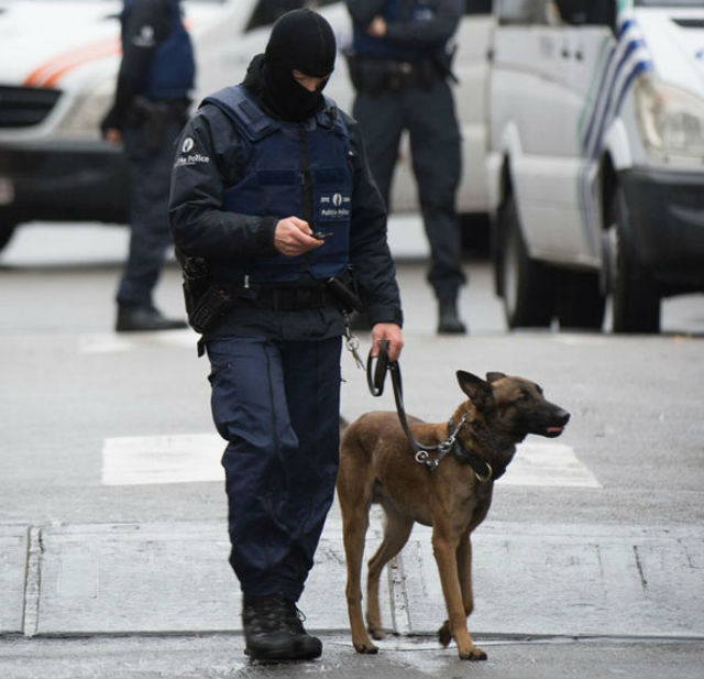 paris-police-dog-diesel-death