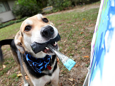 painting dog