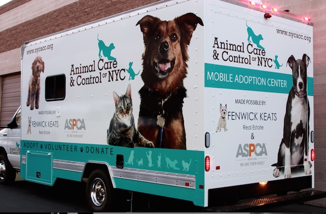 Animal Care and Control Mobile Adoption Center