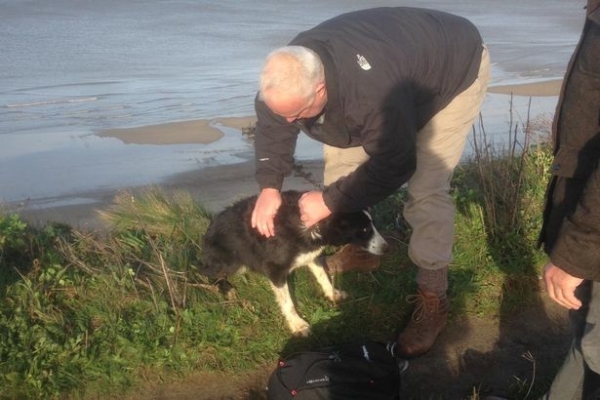 Derek-Shaw-leans-over-the-cliff-at-Cromer-Norfolk-to-rescue-a-trapped-dog