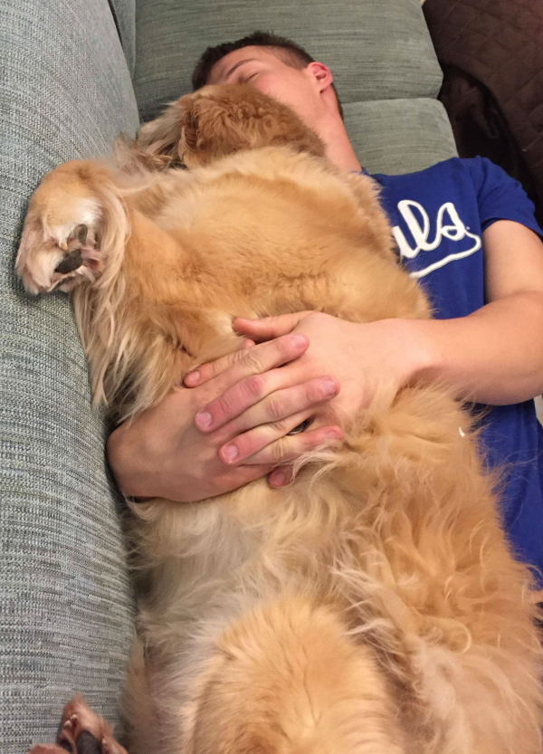 dog cuddle flop