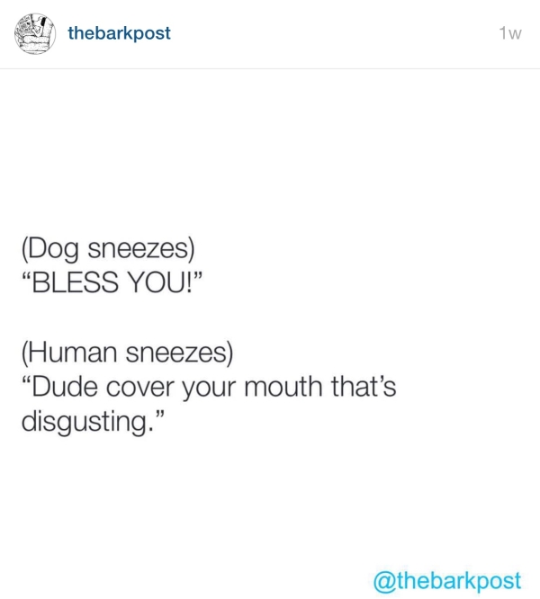 dogpeopledogsneezing