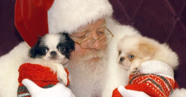 Santa with Puppy