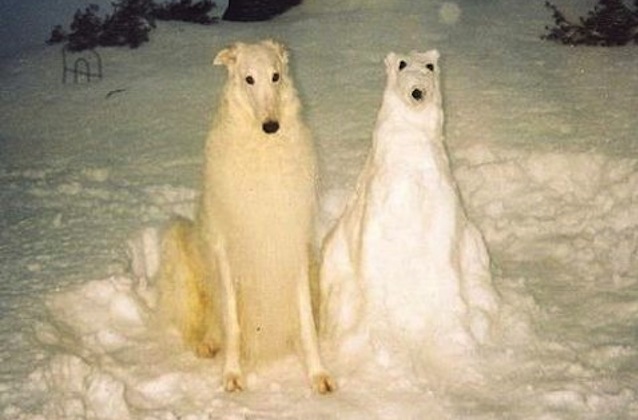 snowman-dog-2