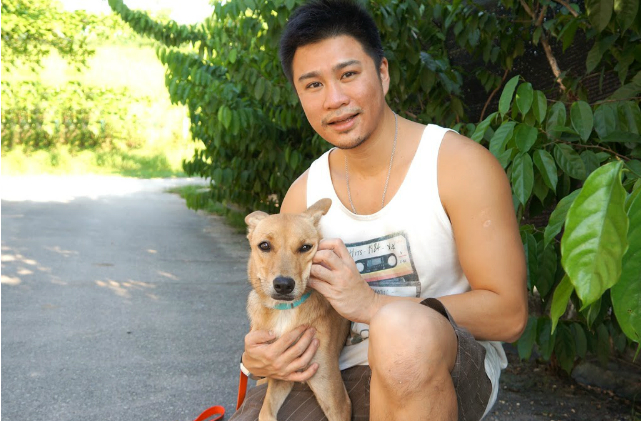 Dr. Siew chose to leave his glam life as a cosmetic surgeon to help homeless (but also glam) pups like this one.