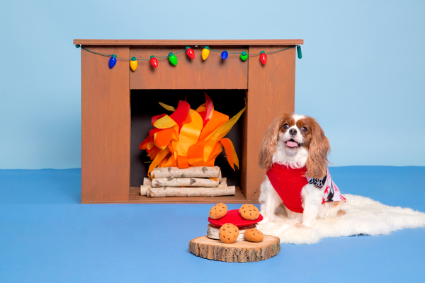 dog christmas cookie toy