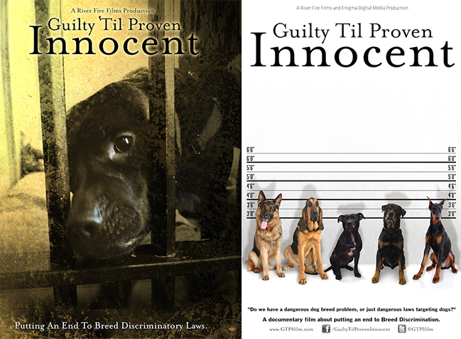 Guilty Til Proven Innocent Poster Images