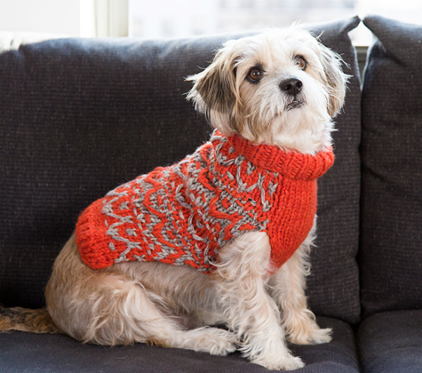 Benji's wearing the Chunky Knit Sweater in orange/grey.