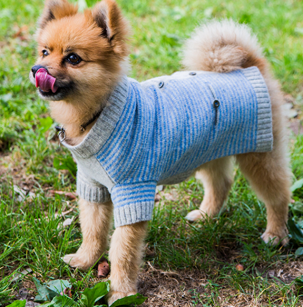 Ware of the Dog Striped Cardigan