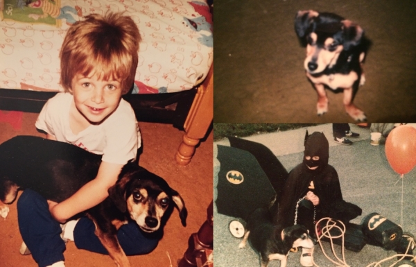 Young Ben and Bo the Wiener Dacshund Mutt