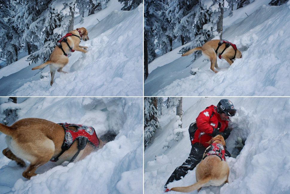 avalanche-rescue-let-loose-the-dogs-of-snow-gear-patrol-slide-112