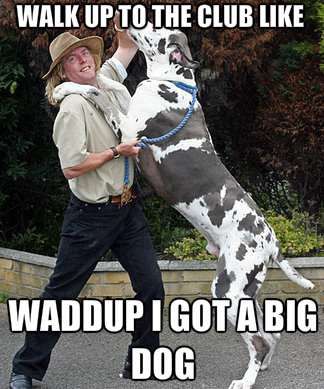 big-dog-meme03