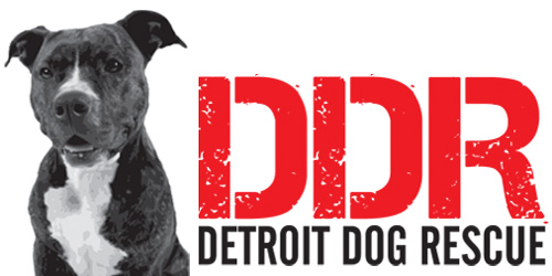 detroit-dog-rescue