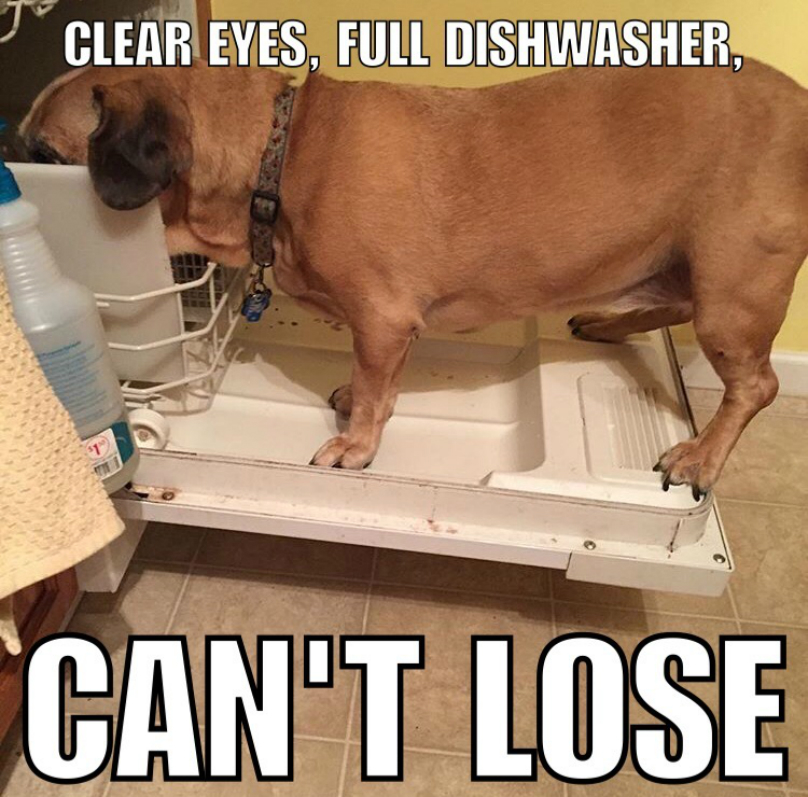 dishwasher-puggle