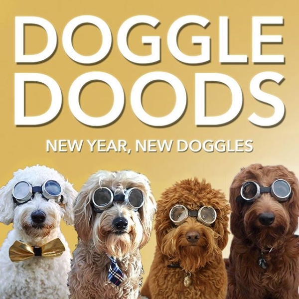 doodlesdoggles