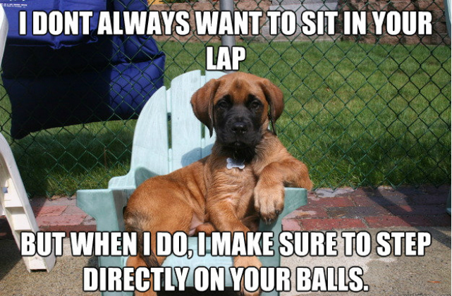 sit on lap