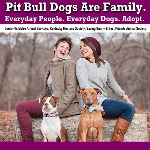 (L to R) Bridget Pitcock, Jack, Meg Hancock and Tucker, another family chosen to be a part of the "Pit Bulls Are Family" campaign