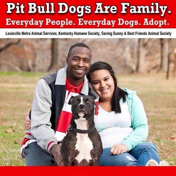 (L to R) Eric Elliott, Juicy and Bianca Lewis were one of the families chosen to be a part of the "Pit Bull Dogs Are Family" campaign