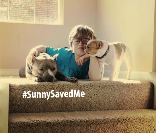 (L to R) Clay, Miles and Willow, two furballs and one human, are all involved in Saving Sunny and support Sunny