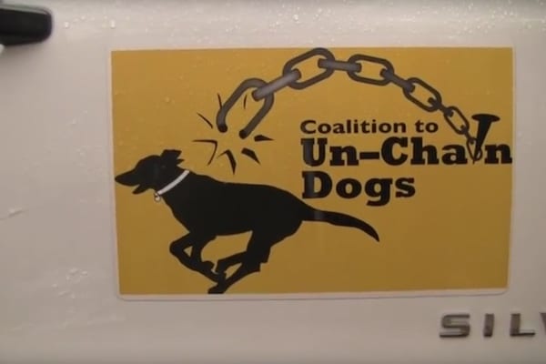 Coalition To Unchain Dogs