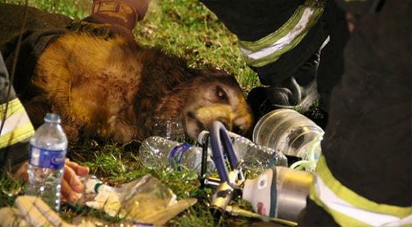 Vancouver Fire & Rescue cut a human oxygen mask in half to save the dog's life.