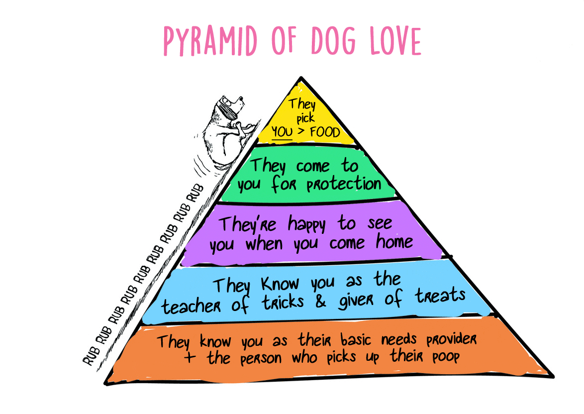 Pyramid-of-dog-love