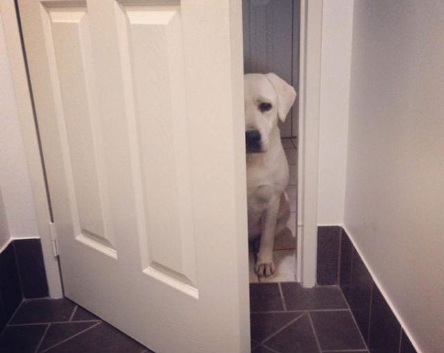 bathroom audience