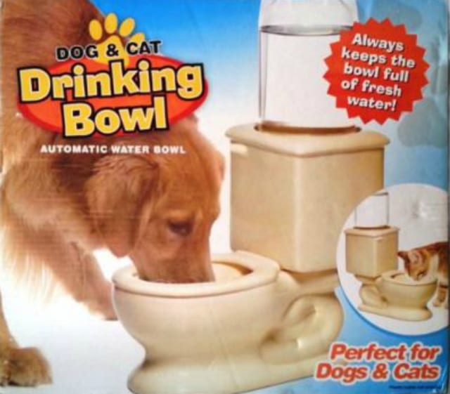 toilet bowl for valentines day