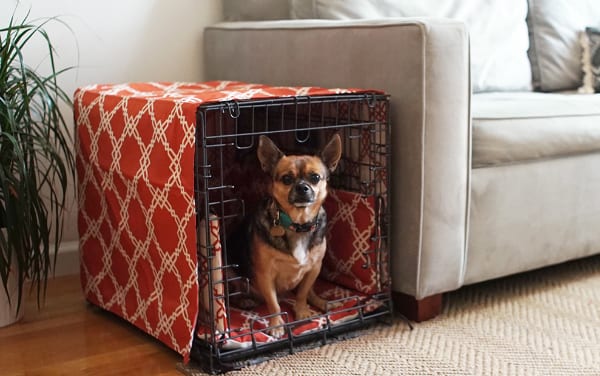 crate cover for dog crate in orange