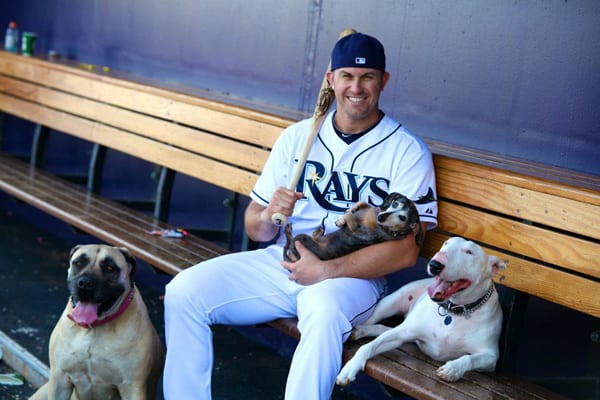 dog days at the rays