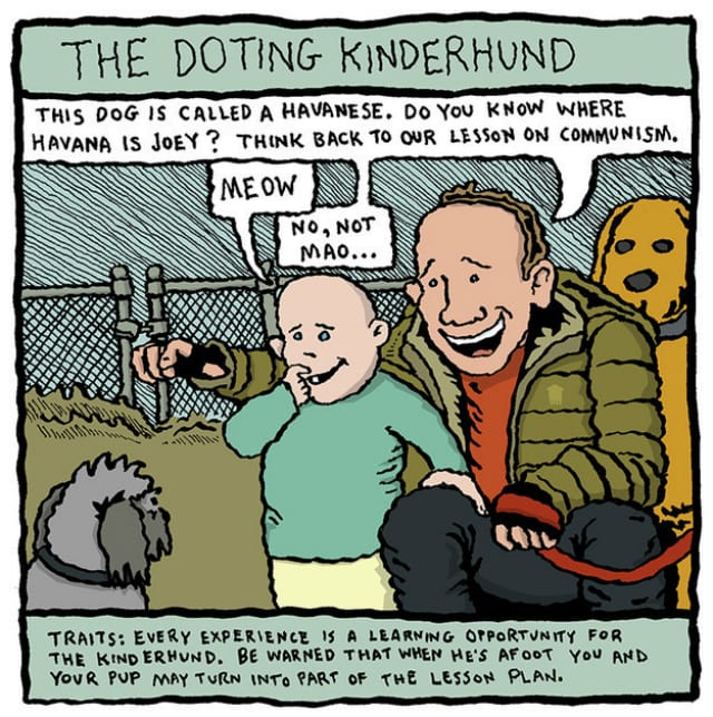 doting kinderhund
