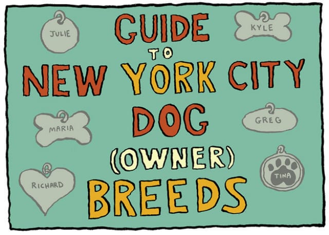 guide to nyc dog owners