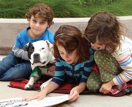 Jonny Justice, from The Unexpected Pit Bull's 2011 calendar, showcasing how he would help children feel comfortable reading aloud