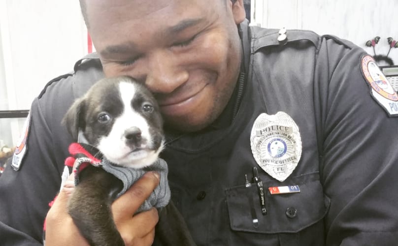 officer-and-puppy
