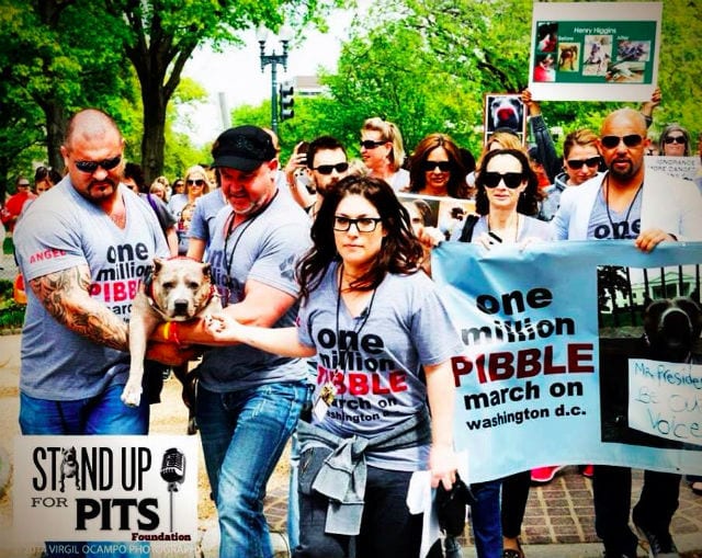 one million pibble march