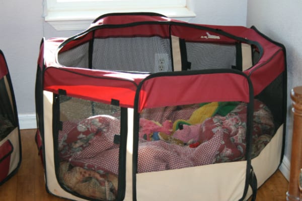 playpen