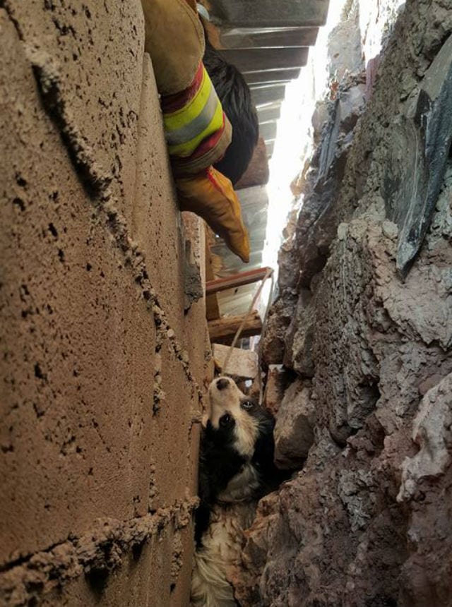 rescuers reach in the crevice