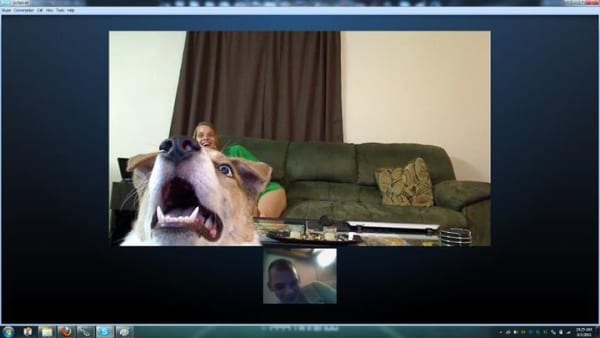 skyping-with-dog