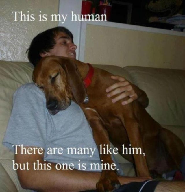 this is my human