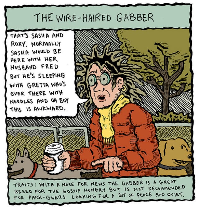 wire_haired gabber