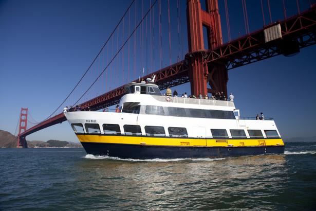 Bay-Cruise-New-033-no-boat_sized