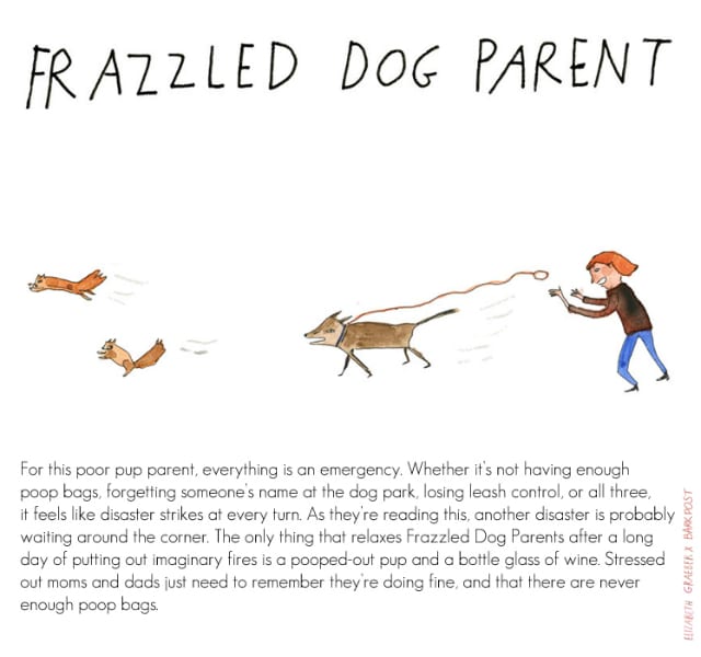 Frazzled Dog Parent