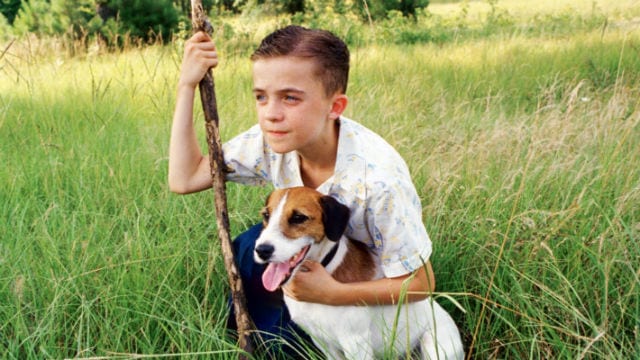 My Dog Skip 1920x1080