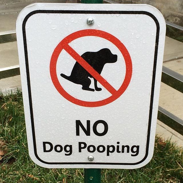 No Dog Pooping