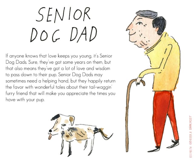 Senior Dog Dad