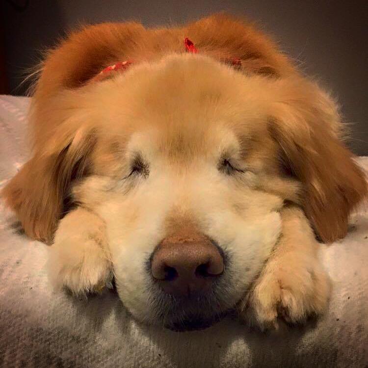 Smiley Dreaming