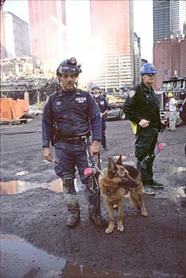 lex-9-11-rescue-dog